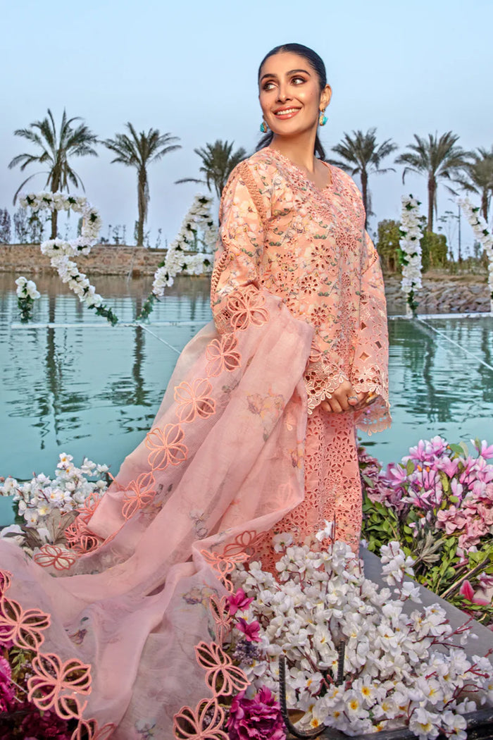 Rang Rasiya Premium Eid Collection – D13