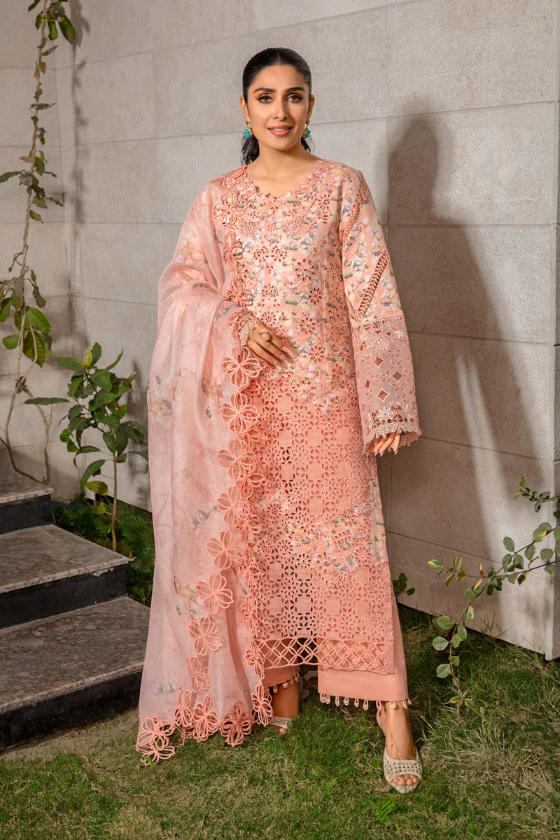 Rang Rasiya Premium Eid Collection – D13