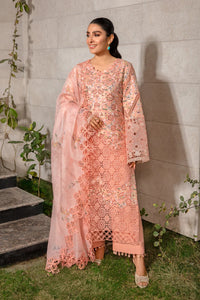 Rang Rasiya Premium Eid Collection – D13
