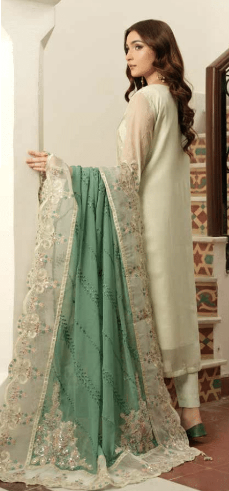 Demir Embroidered Semi Stitched Chiffon By Noors – D2