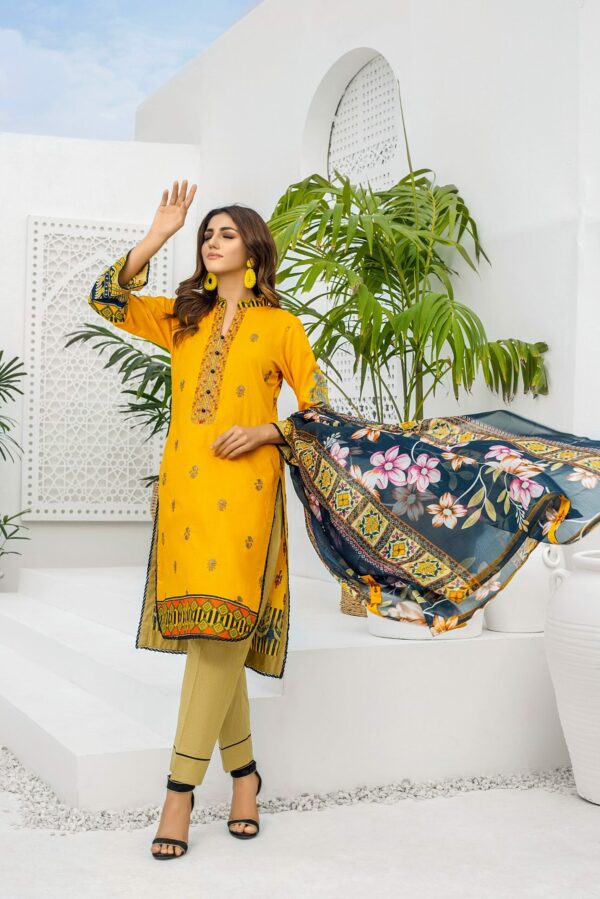 Rangreza Embroidered Lawn – RE22-2