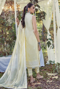 Adans Libas Mushk Lawn Collection – D7