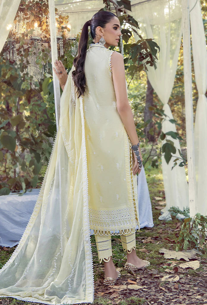 Adans Libas Mushk Lawn Collection – D7