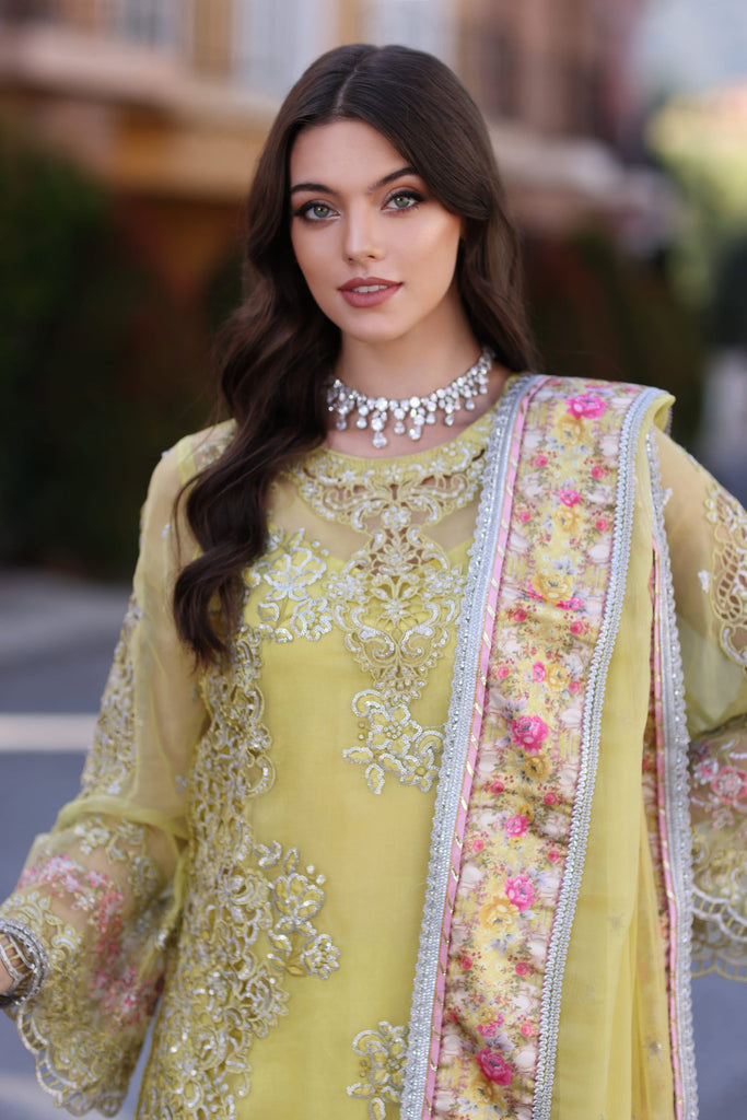 Noor by Saadia Asad Luxury Chiffon Formal – D4-Minali