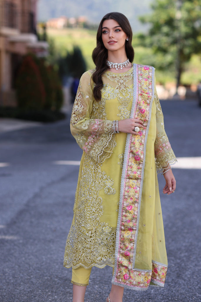 Noor by Saadia Asad Luxury Chiffon Formal – D4-Minali