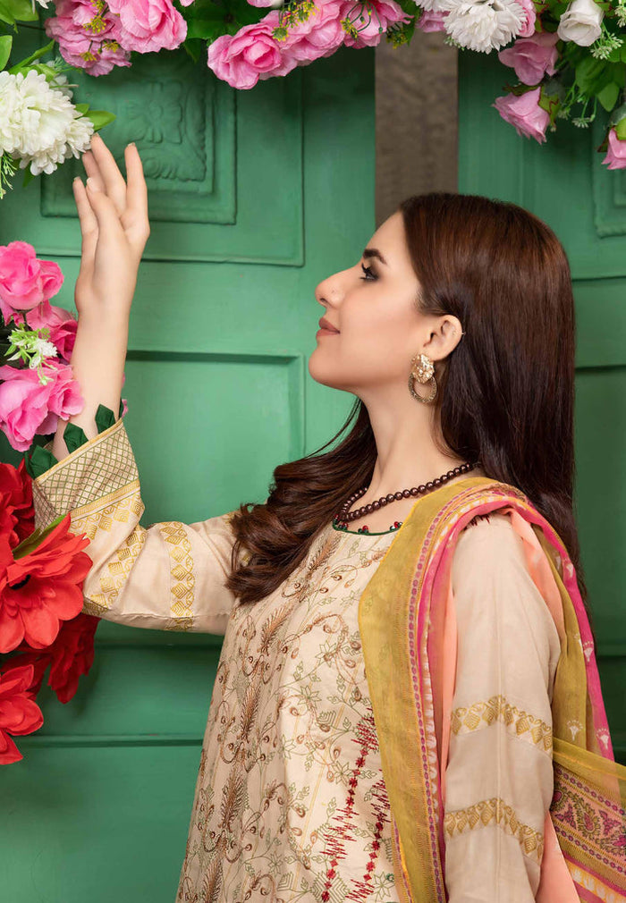 Areeba Embroidered Lawn Collection – D3