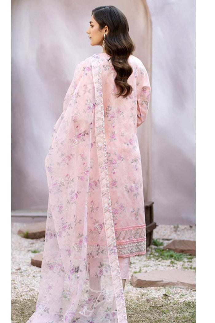 Mahiye By Noors Organza Semi Stitched Collection – D2