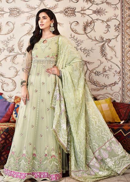 Noor By Saadia Asad Shanaya Festive – D2-B