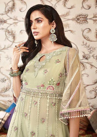 Noor By Saadia Asad Shanaya Festive – D2-B