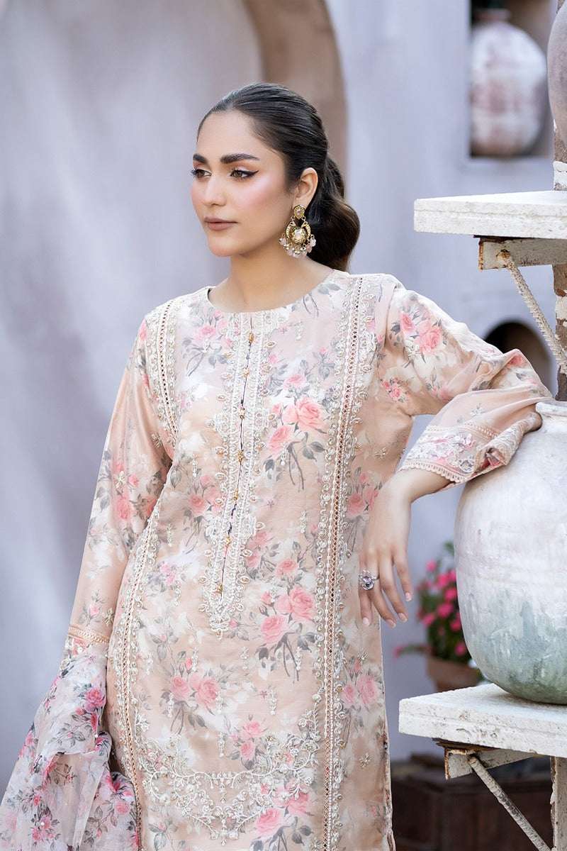 Mahiye By Noors Organza Semi Stitched Collection – D7