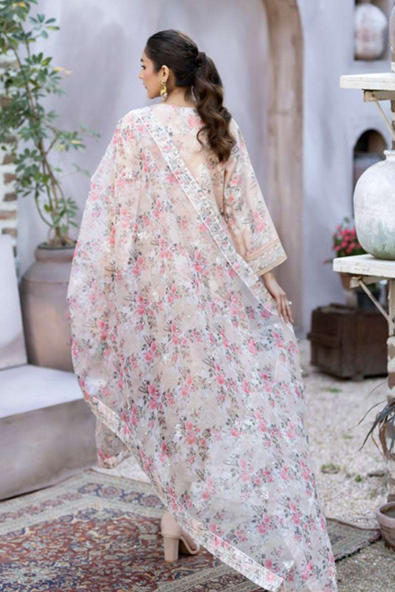 Mahiye By Noors Organza Semi Stitched Collection – D7