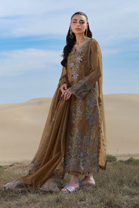 Rang Rasiya Premium Summer Lawn – Minaal