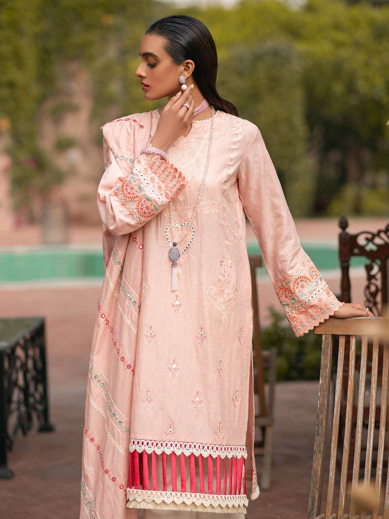 RajBari luxury festive Collection – 8A