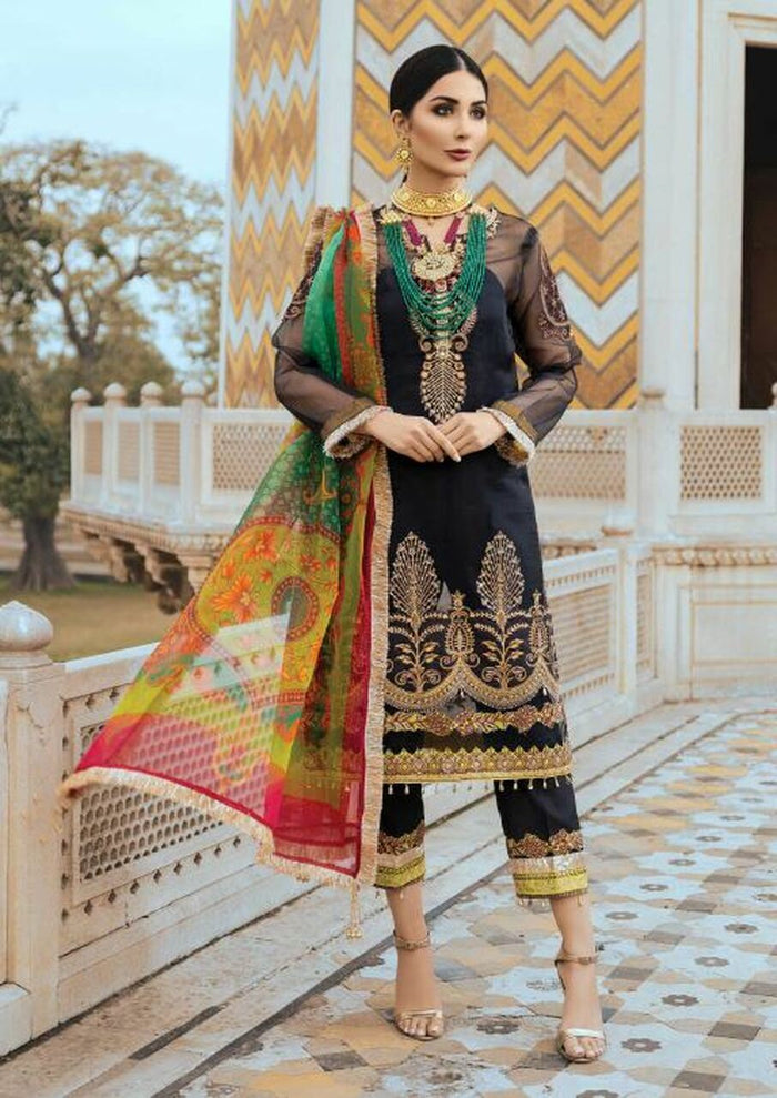 Sanaya Luxury Chiffon SS-004 (AABROO)