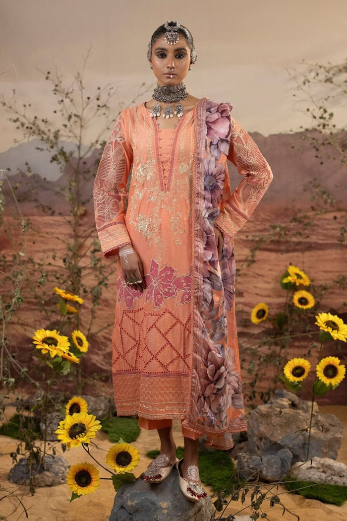 Adan’s Libas Traditional Signature Lawn – D-101