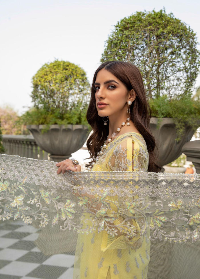 Meraki Embroidered Chiffon – ZS21-M3 13