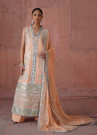 Naqsh By Mashq Embroidered Chiffon – QFF-0048 Capsule