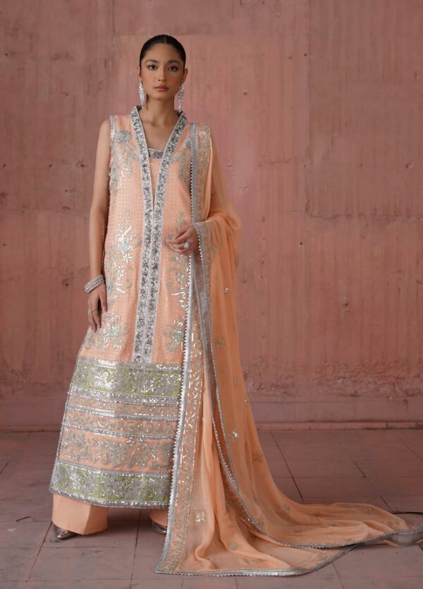 Naqsh By Mashq Embroidered Chiffon – QFF-0048 Capsule
